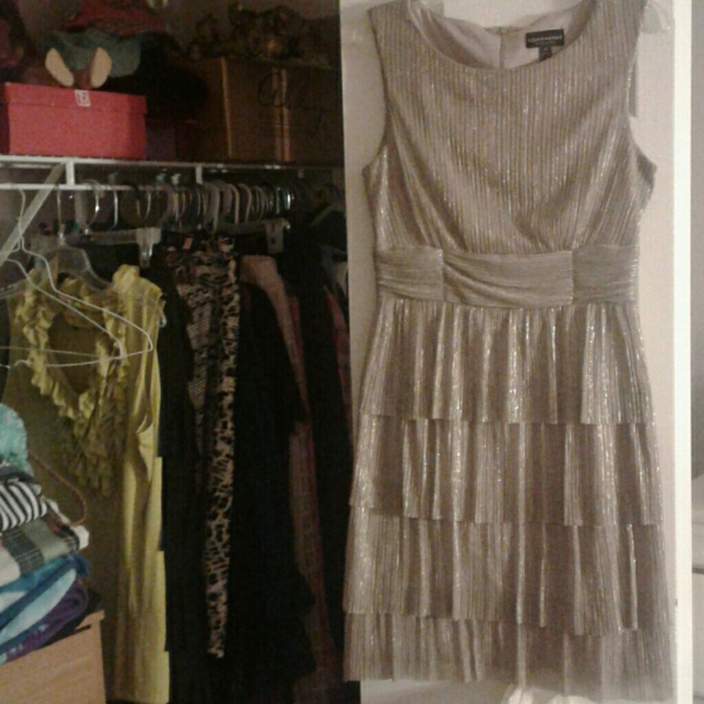 Silvery Brown Dress